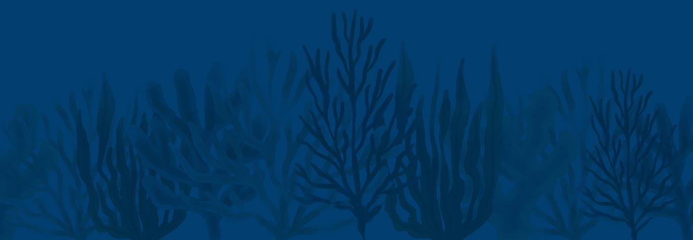 backgrounds