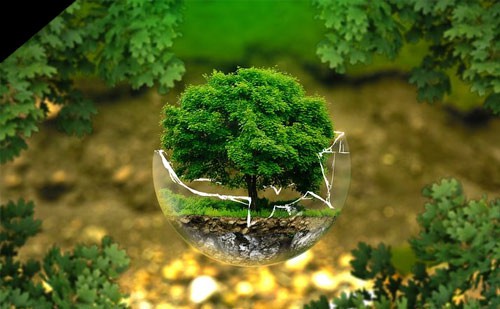 Sustainable technology & Oxygen rich Environment image